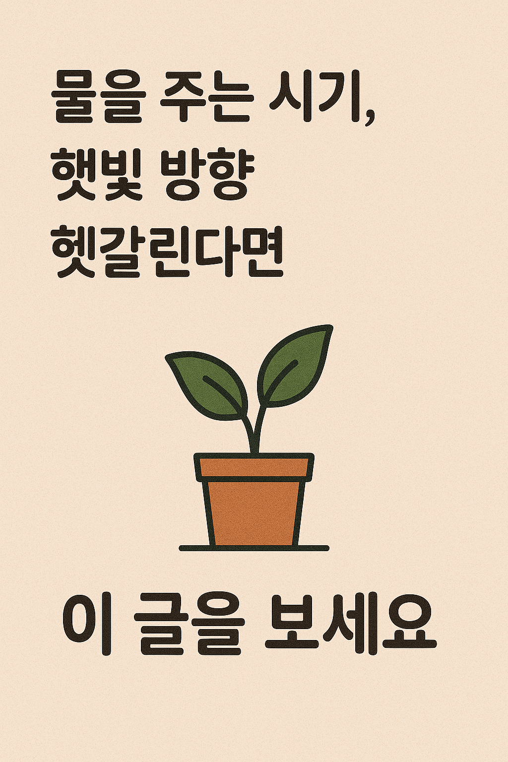 물 주는 시기와 햇빛 방향을 이해하기 쉽게 표현한 실내식물