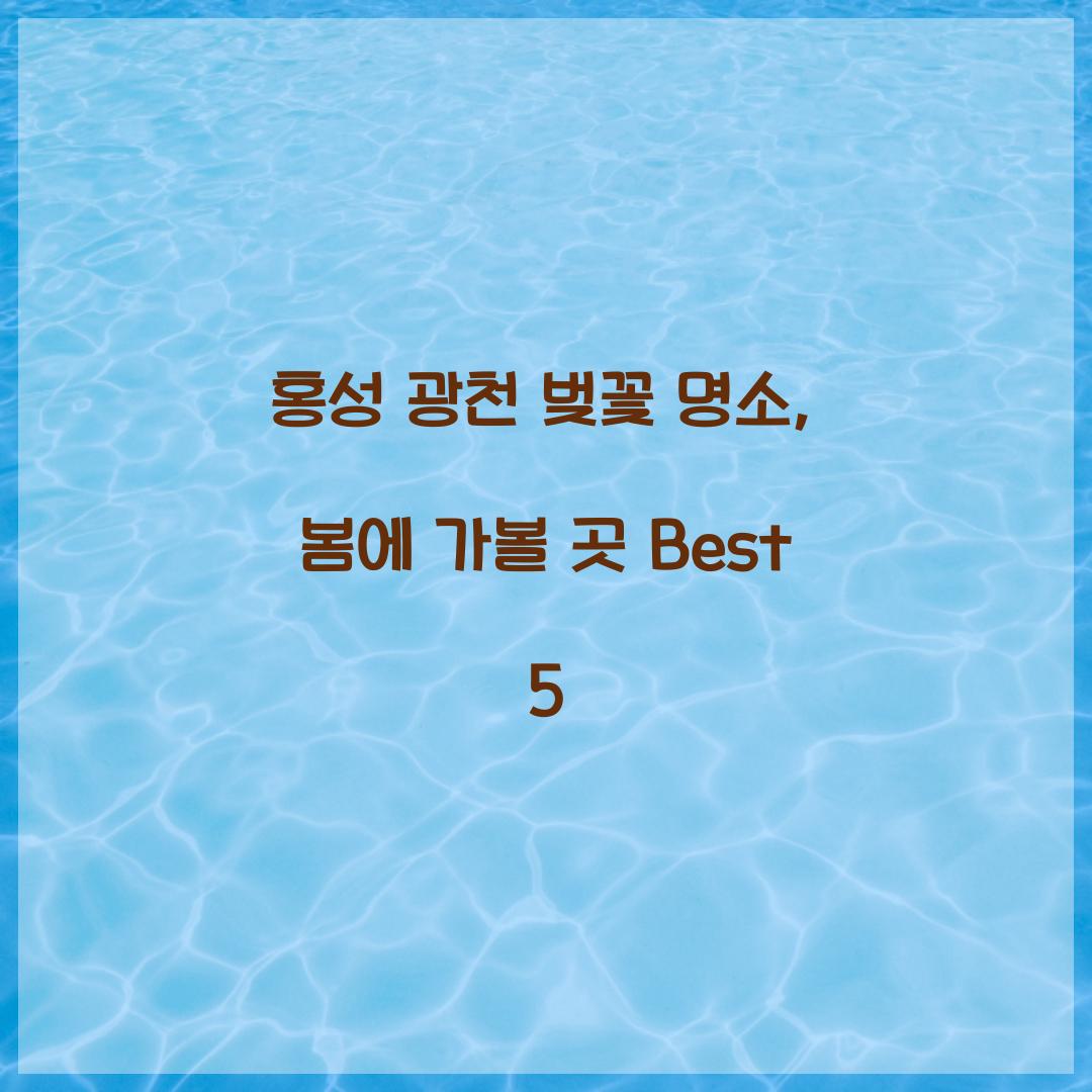 홍성 광천 벚꽃 명소