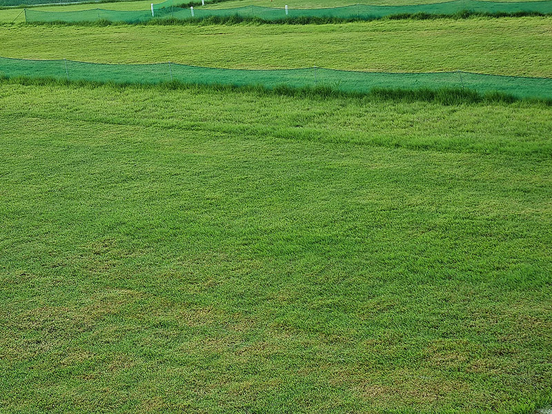 강원도 춘천시 소양강파크골프장 소개