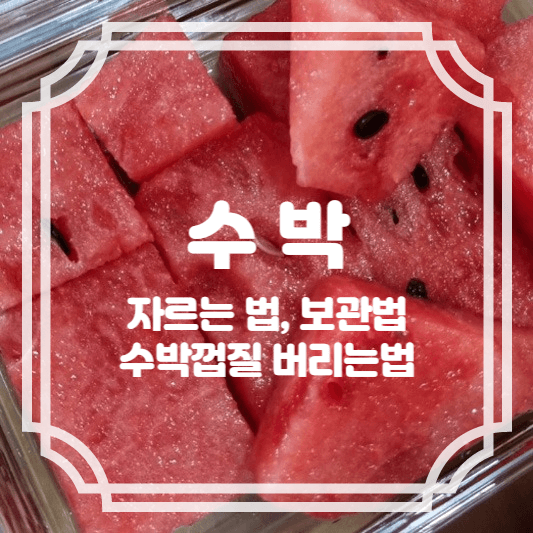 수박자르는법