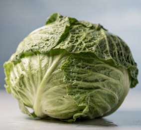 위염에 좋은 음식