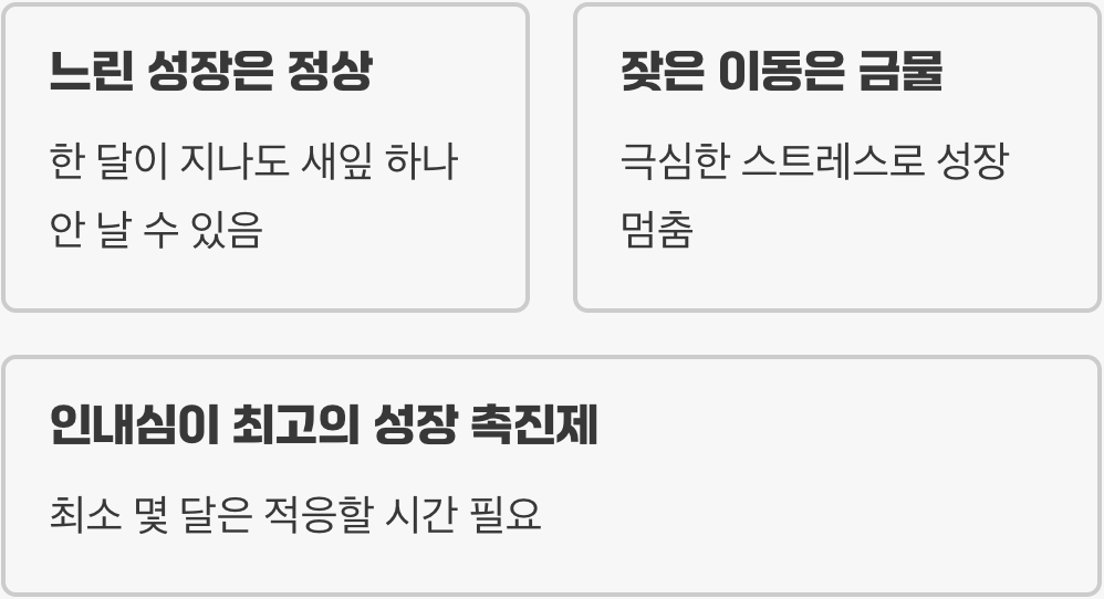 기다림을 잃어버린 조급함