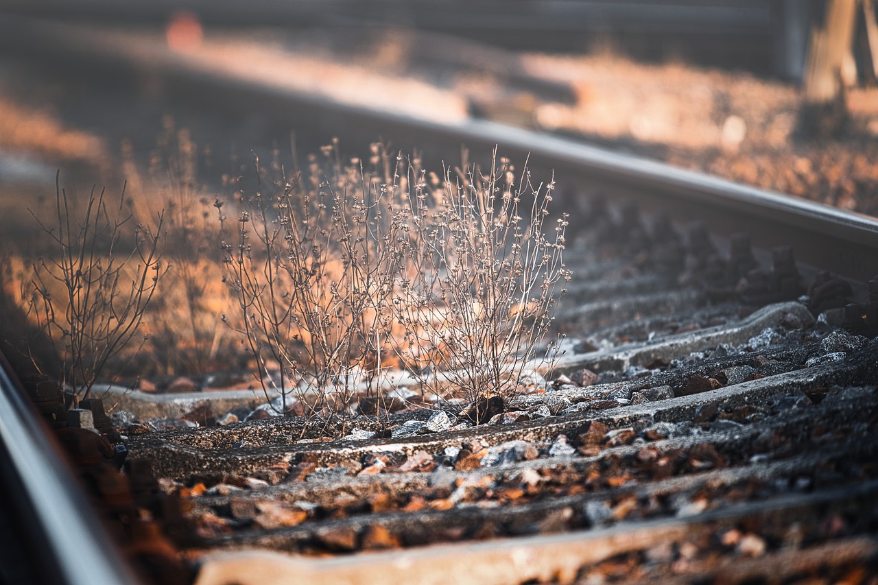 미사용 연차 이월