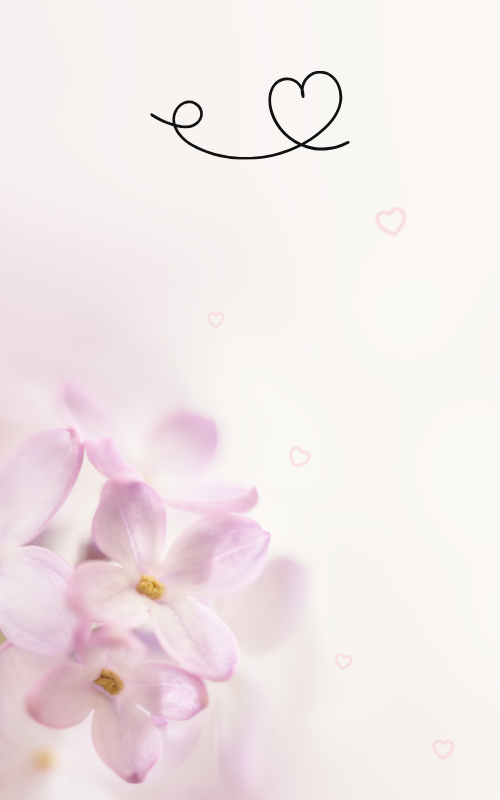 카톡 배경화면 사진 이미지