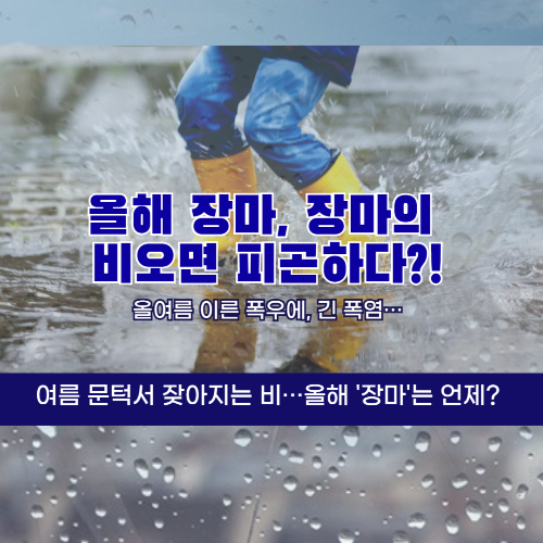 비가 내리는 장면 올해 장마는 언제 / 출처 : 자체 제작