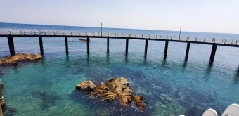 영천 가볼만한곳 베스트10 기억에 남을 멋진 명소 추천_18