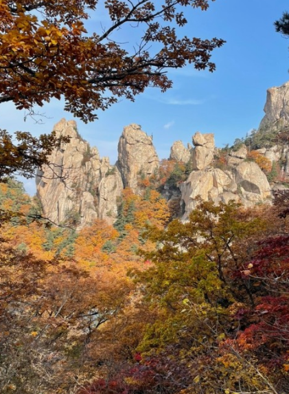 2024년 단풍절정시기