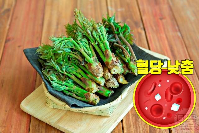 두릅 효능 당뇨 혈당 두릅 생으로 먹어도 되나요 두릅부작용