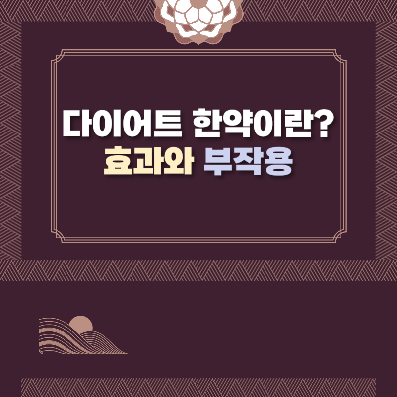 다이어트 한약 효과와 부작용 한방 다이어트