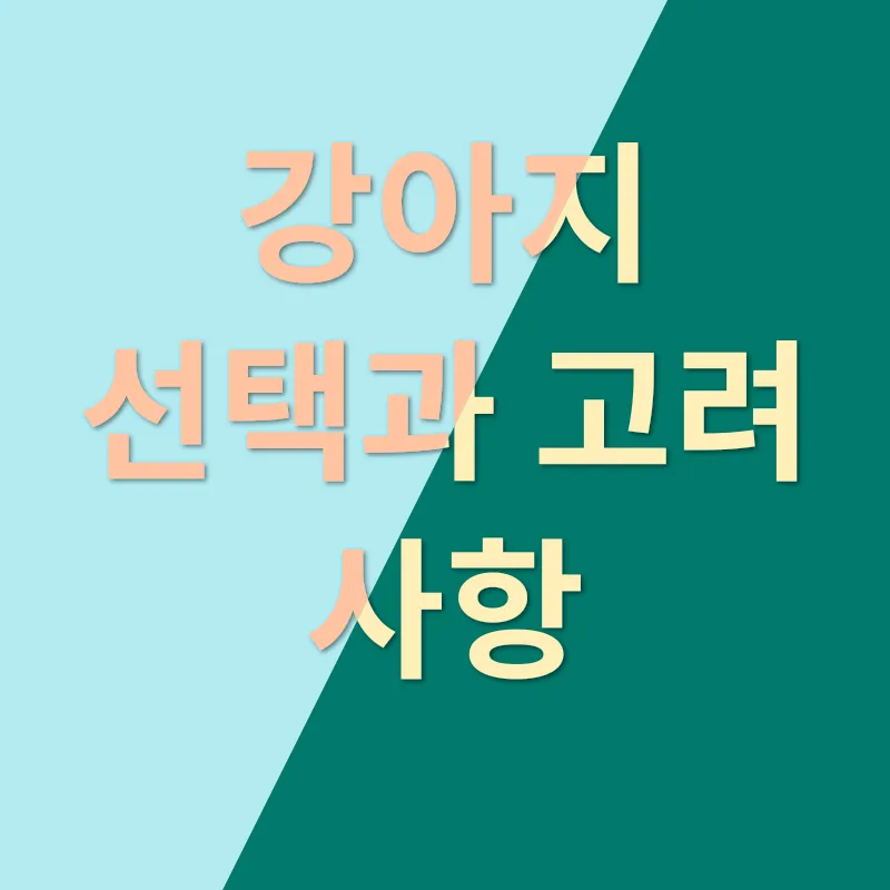 파주 강아지 분양_3