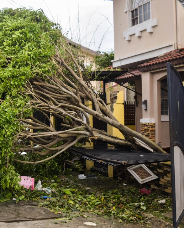 7호 태풍 프란시스카 예상경로