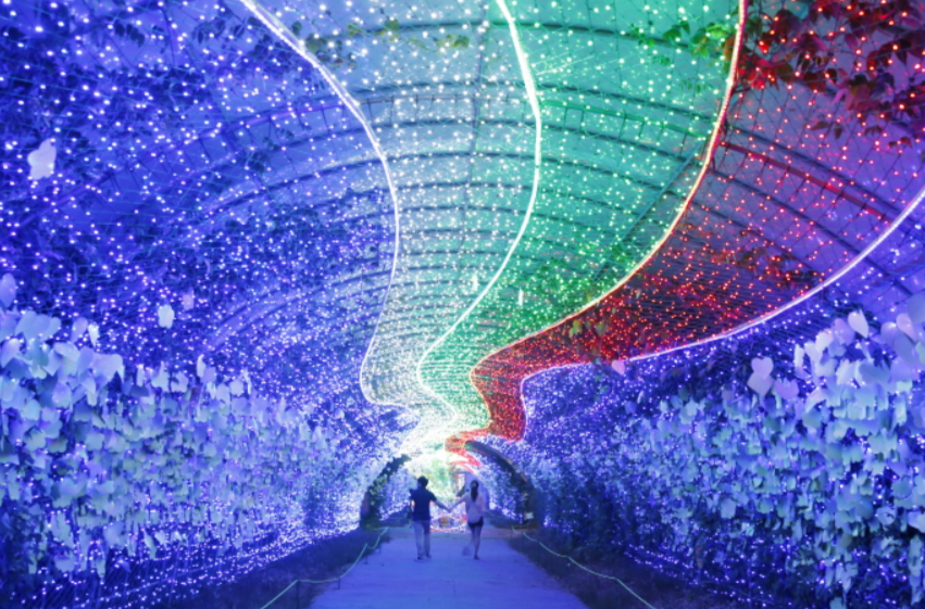 365일 빛나는 태안의 명소, 태안빛축제, 신청방법, 요금, 장소