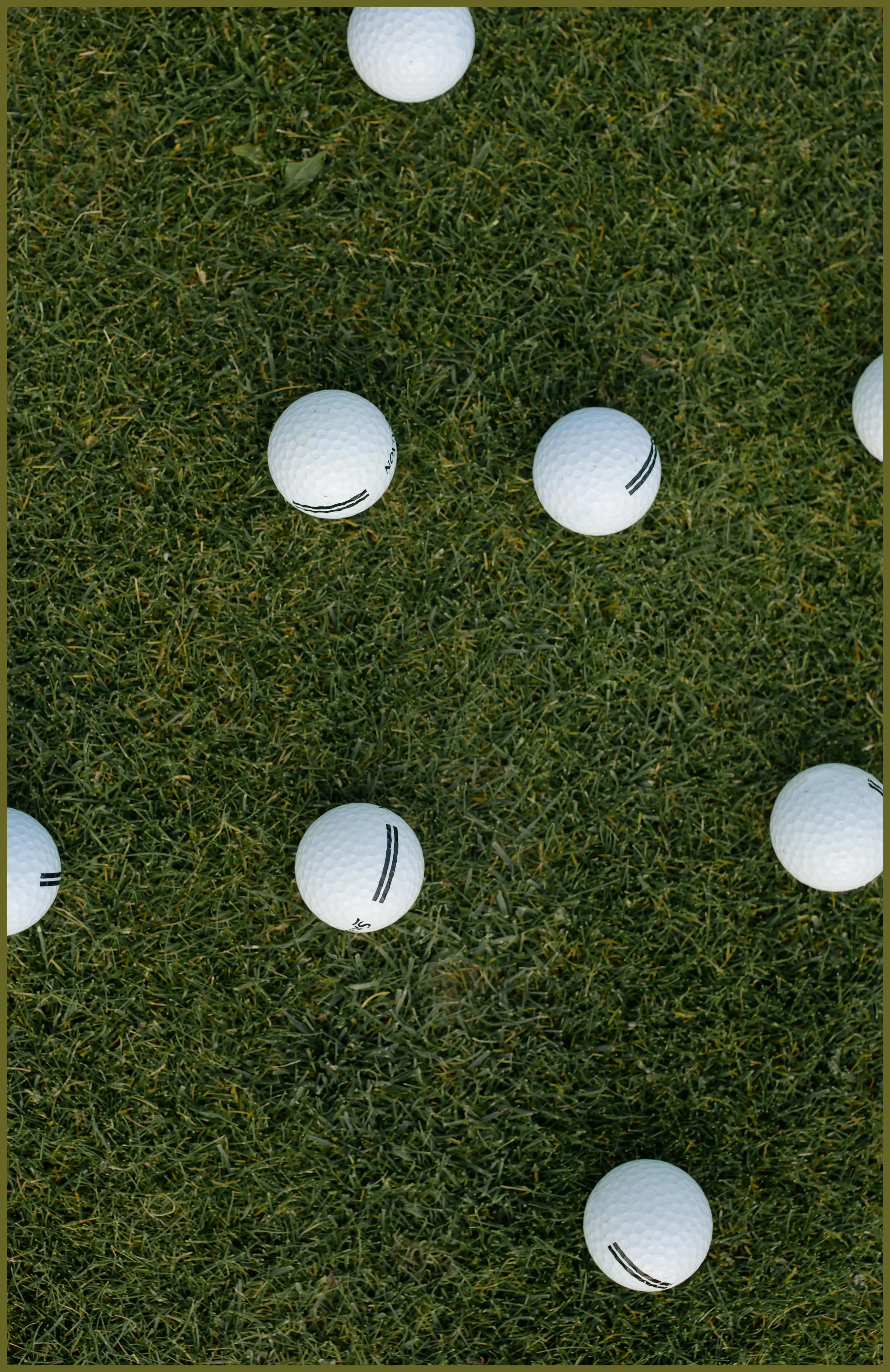 파크골프 용어 정리 해설 점수 계산법