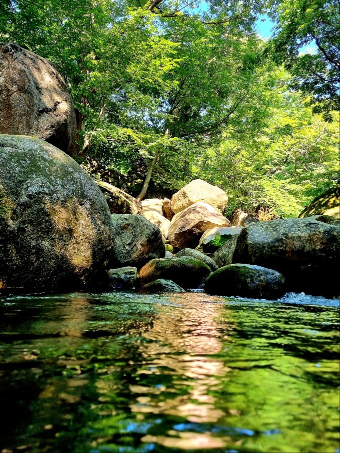 지리산 하동 쌍계사 계곡 신진식당 옆 신흥식당: 계곡 물놀이, 발 담그고 백숙 먹기