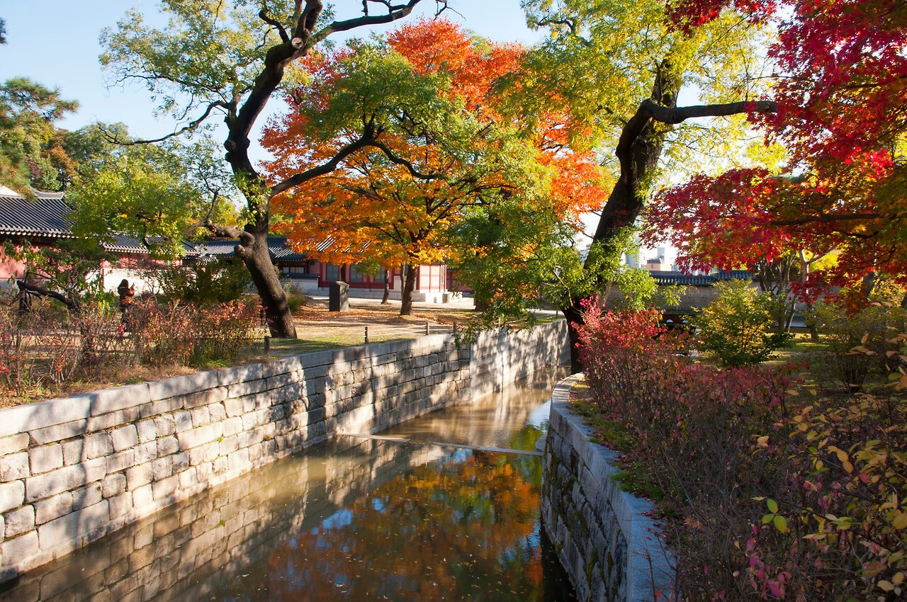 2024 단풍 절정 시기