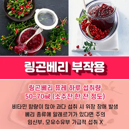 링곤베리 부작용