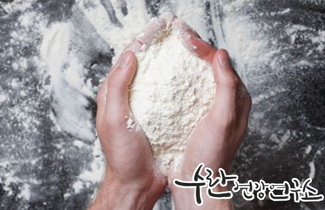 LGG 유산균 효능 부작용