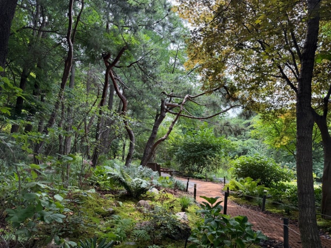남산 한국숲정원