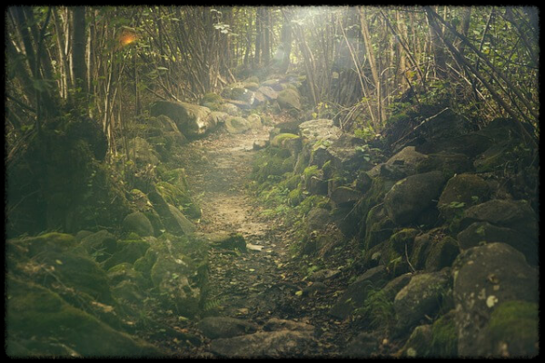 특례보금자리론