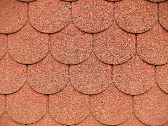 경기도 대상포진 무료접종 연령 기준 정리로 안내_8