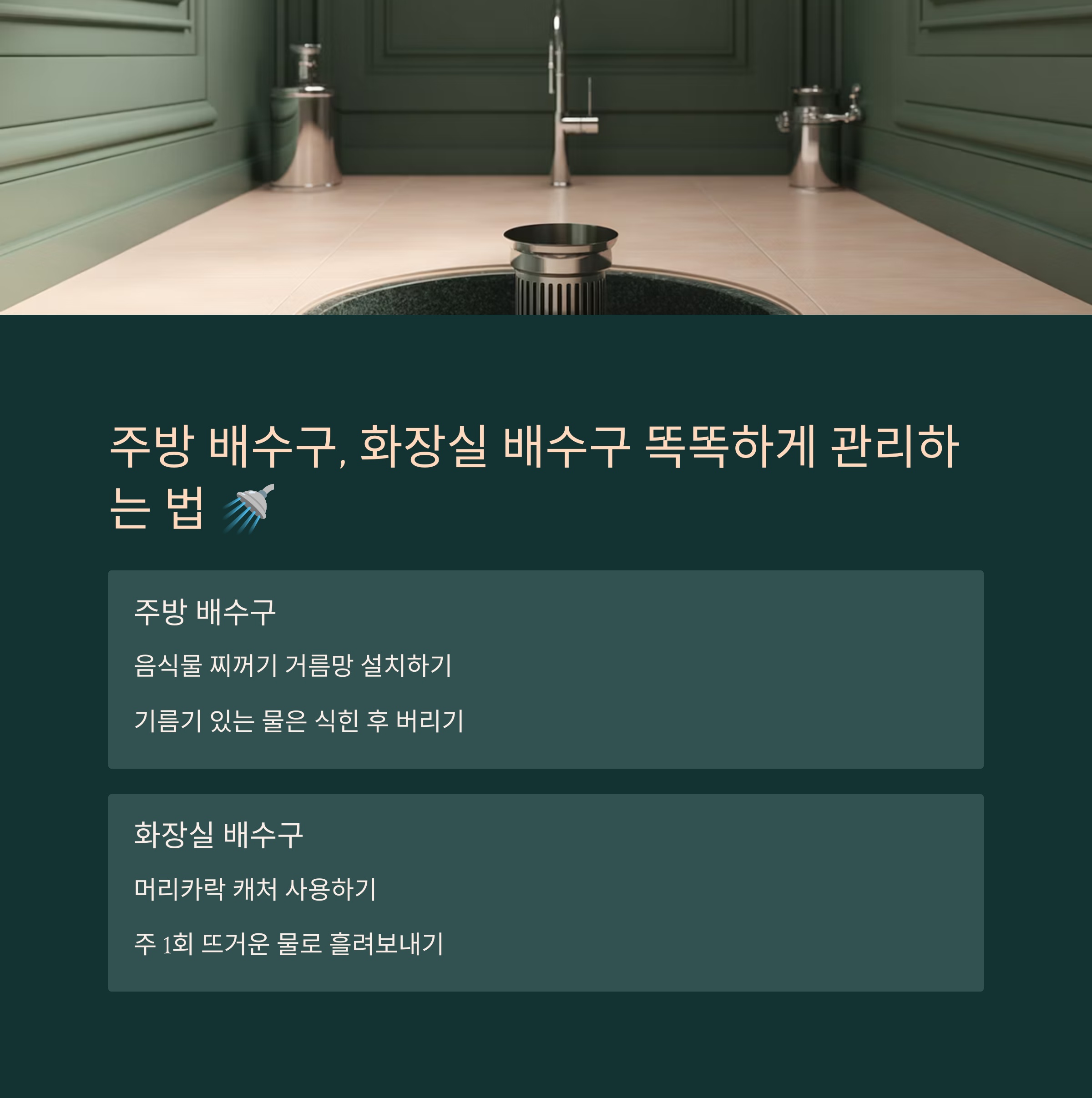 주방 배수구, 화장실 배수구 똑똑하게 관리하는 법 🚿