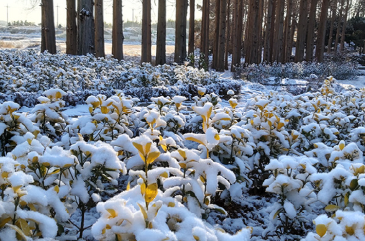 익산 아가페정원