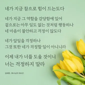 위로와 격려 인사 따뜻한 말 한마디 어르신 맞춤 표현 모음_18