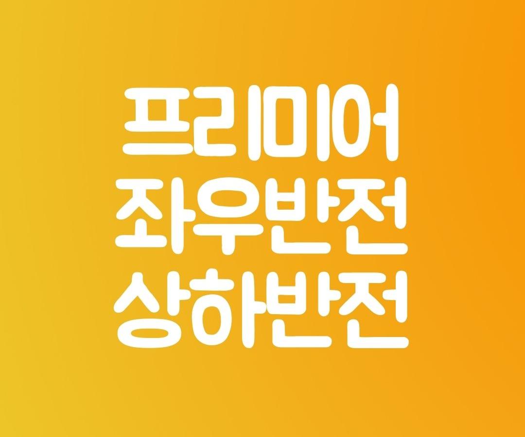 프리미어 프로 좌우반전 상하반전 하는 법1