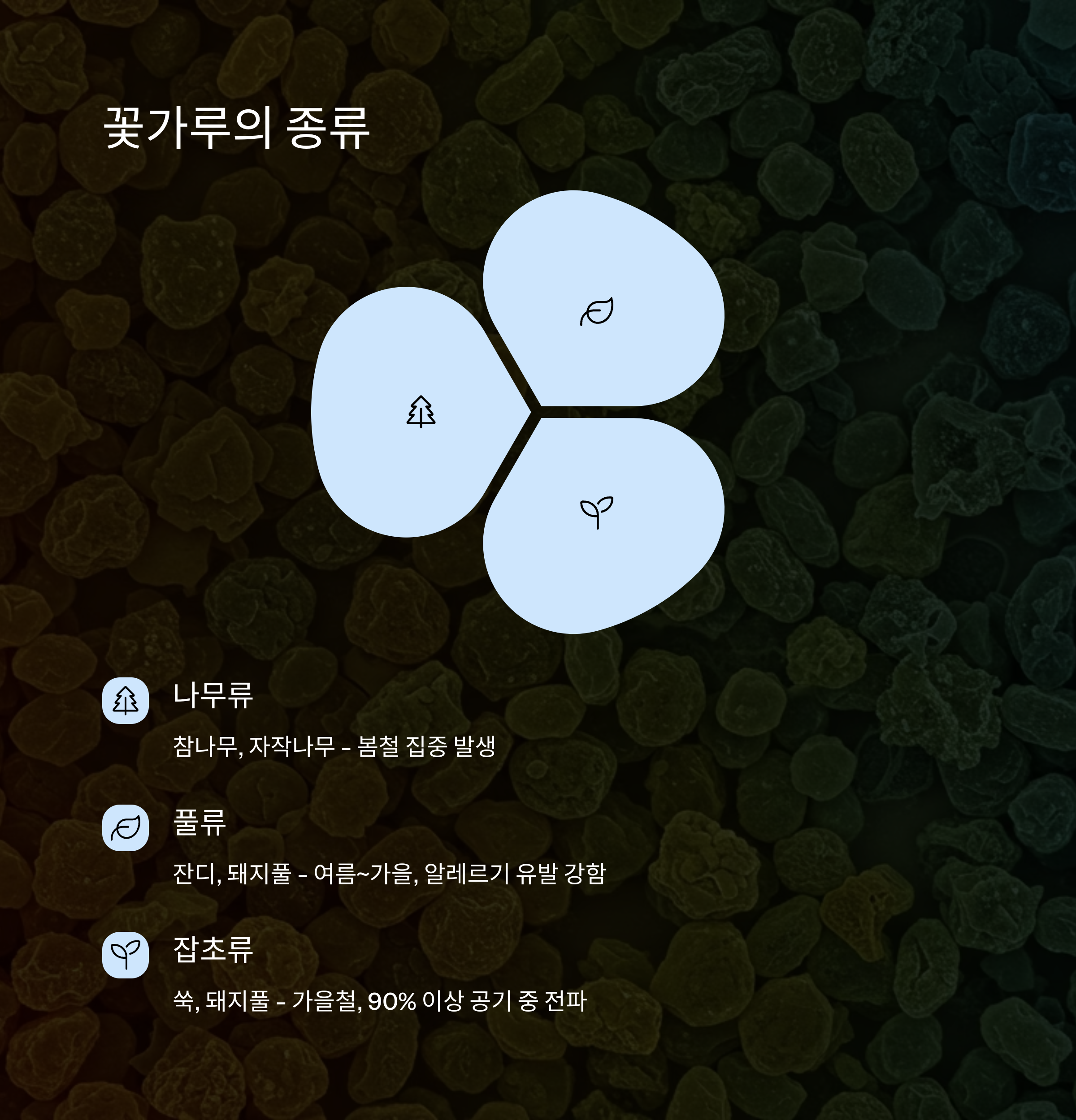 주요 꽃가루 종류와 특징