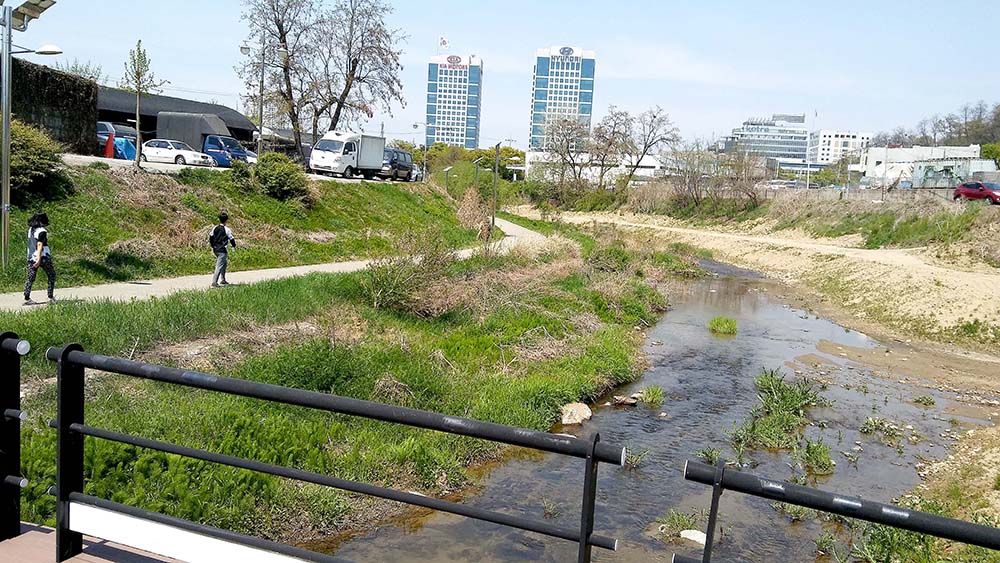 대모산&middot;우면산 : '부모의 마음'