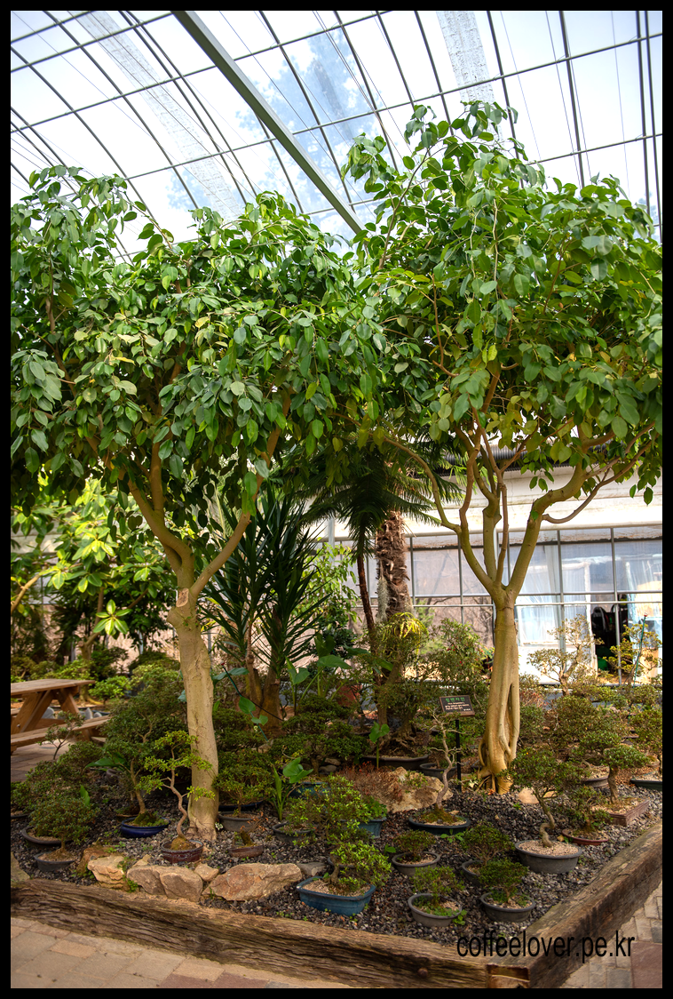 이천여행 아이와 가볼만한곳 덕평공룡수목원