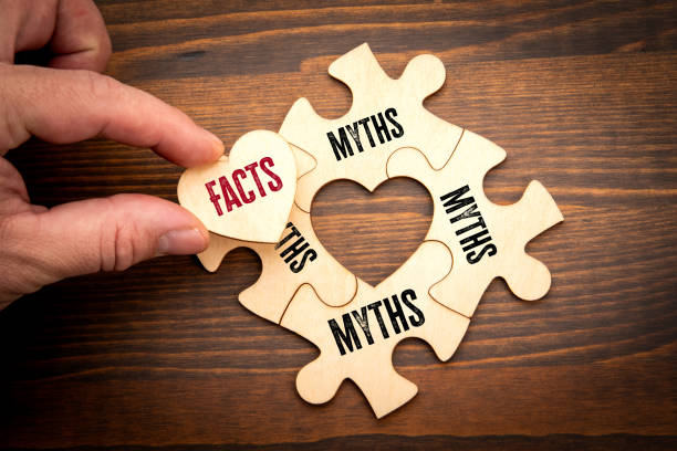 송다은 BTS 지민