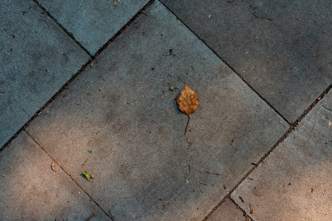 Leave