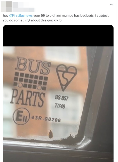 알트태그-영국 대중교통에서 발견된 빈대