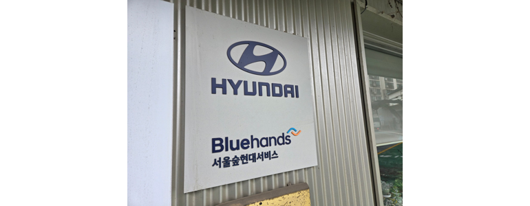 서울 성동구 블루핸즈