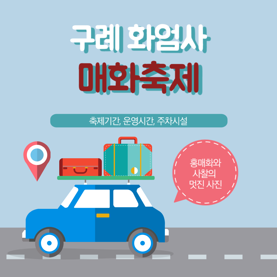 구례 화엄사 매화축제