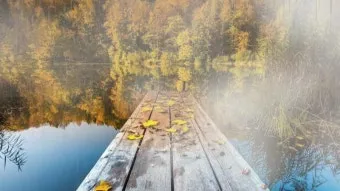 낙엽처럼 살아온 내 모습이 악보 완벽 연주 가이드_5