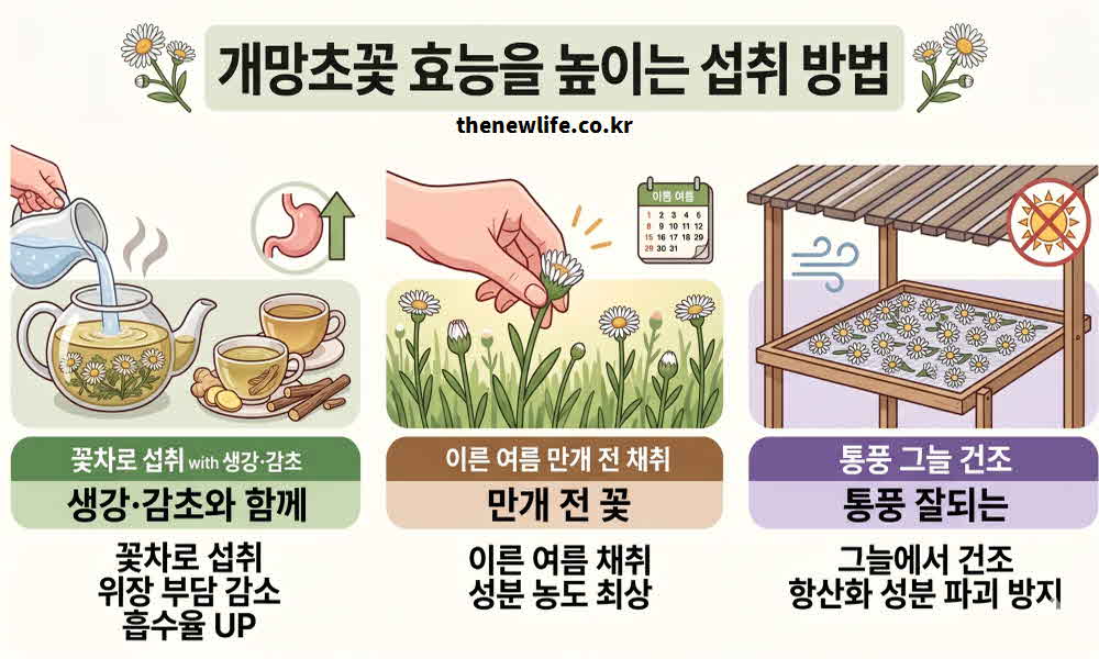 개망초꽃 효능 높이는 섭취 방법