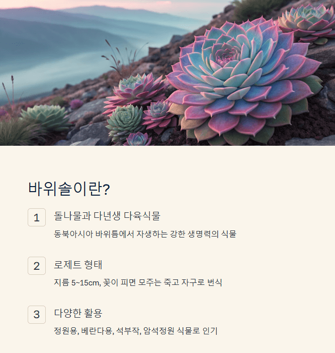 바위솔