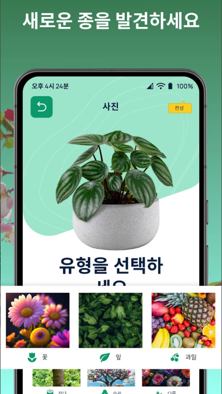 식물 이름찾기, 꽃 검색, 꽃 이름찾기 어플