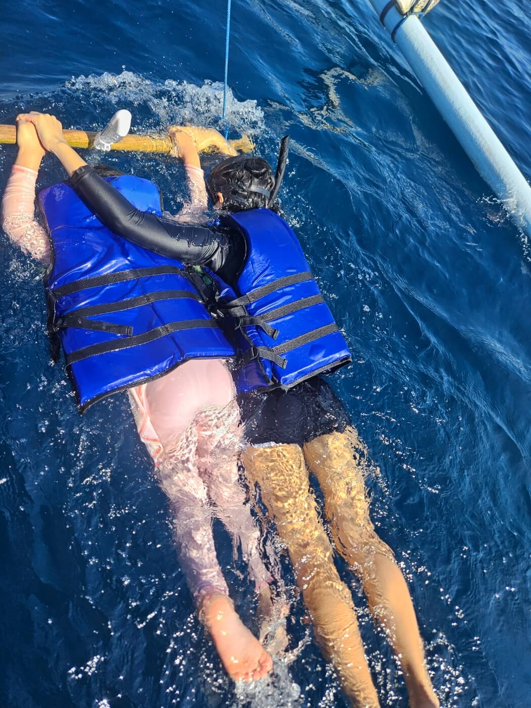 #로비나돌고래 #발리돌고래