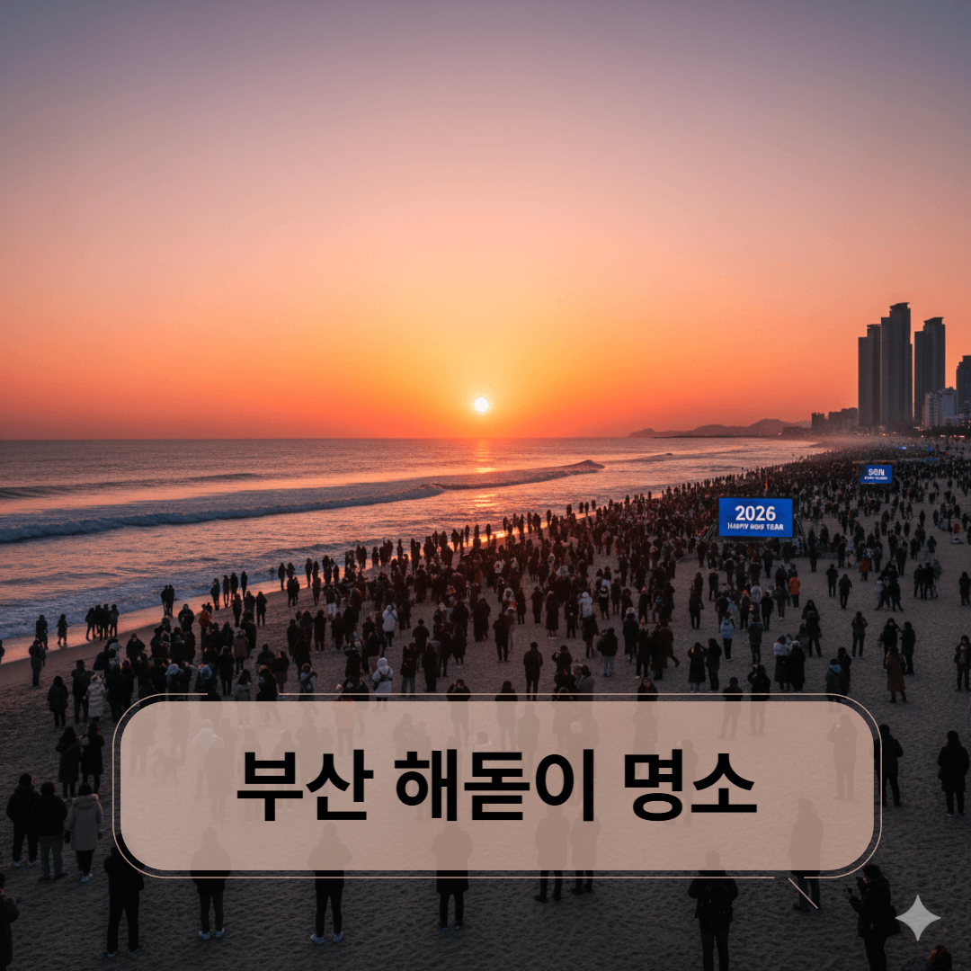 2026년 부산 해돋이 명소 BEST 5
