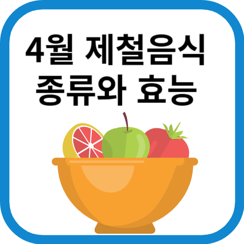 사과, 토마토, 자몽을 담은 그릇