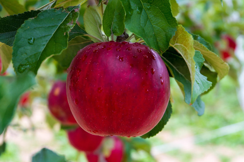 말 못 할 고민 '골반저질환' 완벽 가이드: 원인부터 증상, 예방법까지