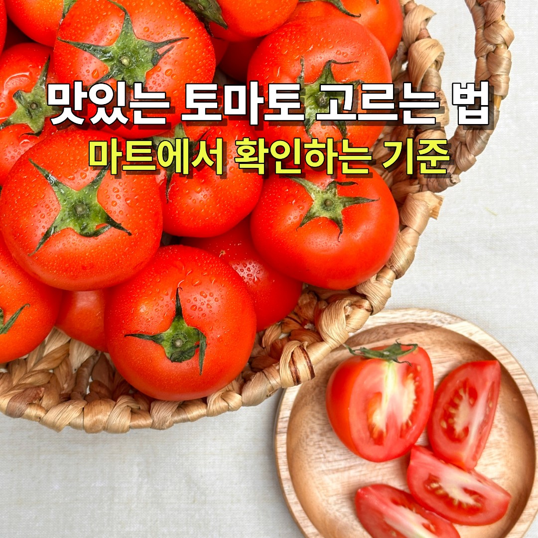 맛있는 토마토 고르는 방법 마트에서 확인하는 기준