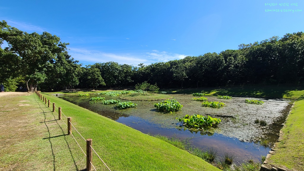 경기도-단풍명소