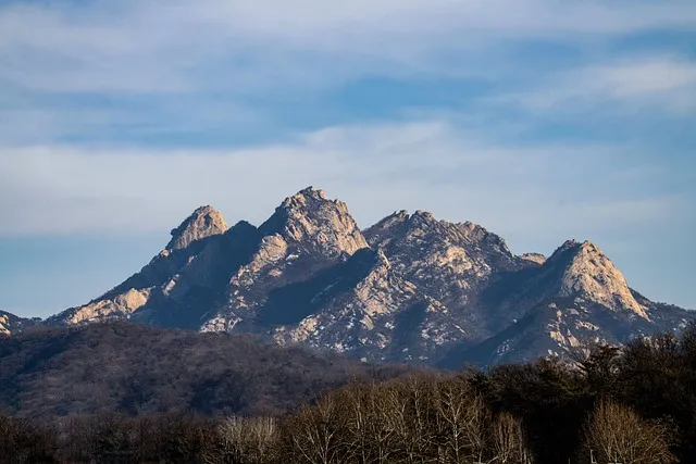 한산도 배시간표 배편 요금 예약 _5