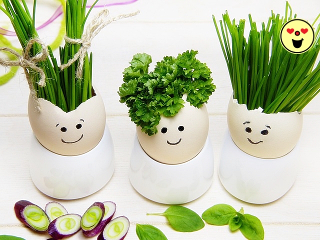 당뇨에 좋은 채소