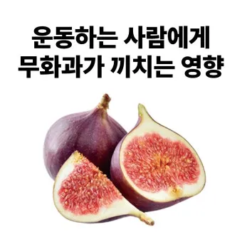 무화과 먹는 방법에 대한 보관팁_5