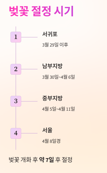 벚꽃 개화 절정 시기